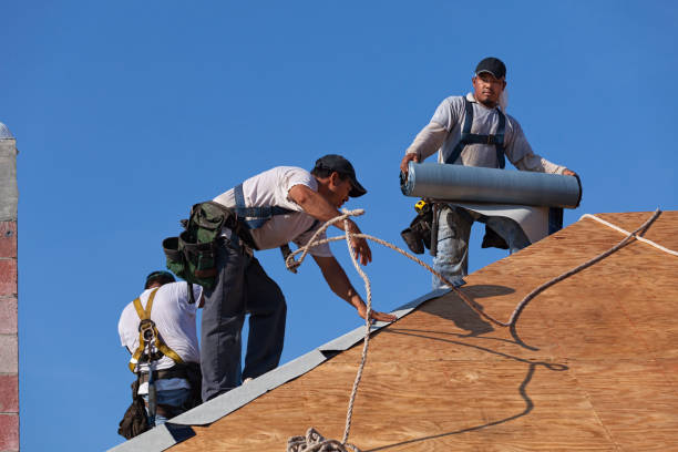Best Flat Roof Repair Services  in Cairo, NE